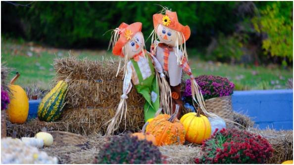 How do I turn my space into a harvest festival vibe?