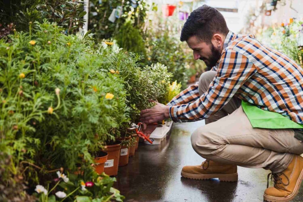 Why a Lawn Care Plan Should Account for Irrigation